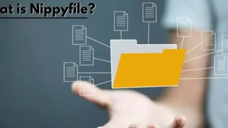 Nippyfile: The Ultimate Guide to Efficient File 